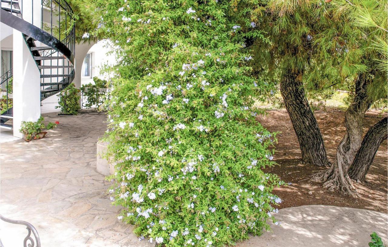 דירות ארמיוני Soleiliosonne Haus Zeus מראה חיצוני תמונה